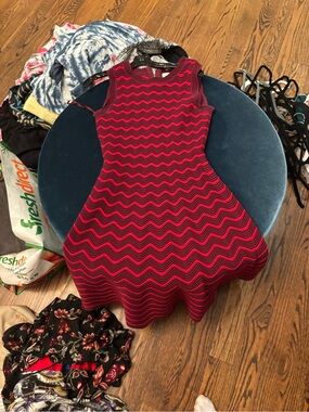 Milly' Red and Black Wave-Pattern Fit & Flare Dress